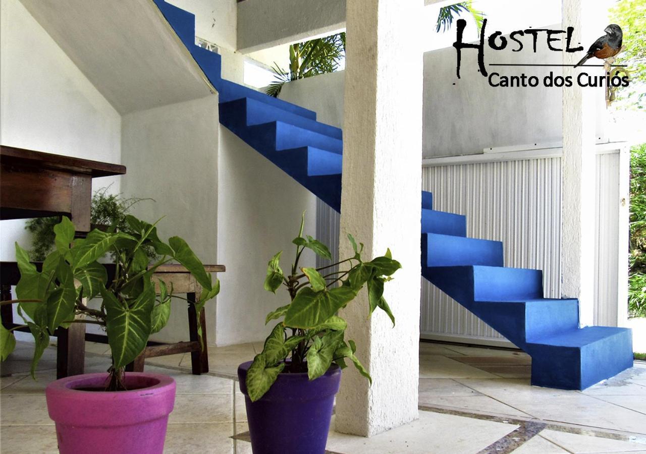 Hostel Canto Dos Curios Кабу-Фріу Екстер'єр фото
